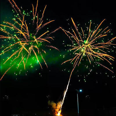 100 Vuurwerk van het Vuurwerkliuyang van de Schoten Groot Cake voor Kerstmisviering
