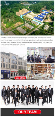 Chinese Liuyang 100 Shots Consumer Fireworks with 2025 Cake Fireworks Pyrotechnics