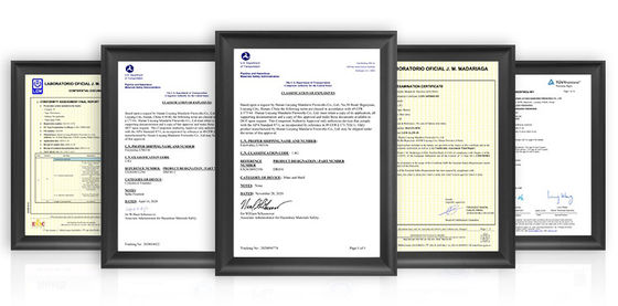 Chinese Professional Display Shells Fireworks Pyrotechnics 6 Inch Display Shell Balls