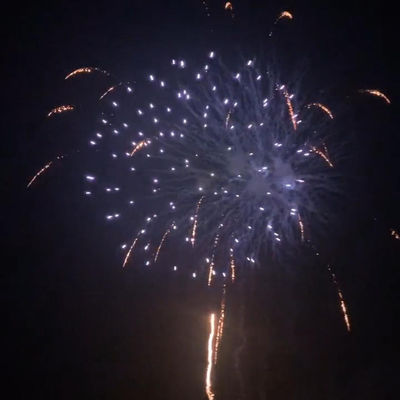 Chinees 25 Shots Cake Fireworks Pyrotechnisch Voor feestbijeenkomsten