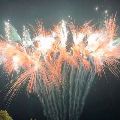 Chinese cake vuurwerk Tipe Festival Viering Pyrotechniek Outdoor vuurwerk 2024