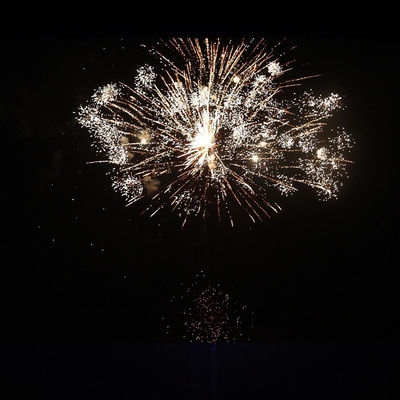 Liuyang 104 Shots Consument Outdoor Huilende wolf vuurwerk taart