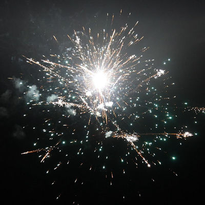 56 Shots Consumenten Taart Vuurwerk 2024 1,4 g UN0336 Voor feest