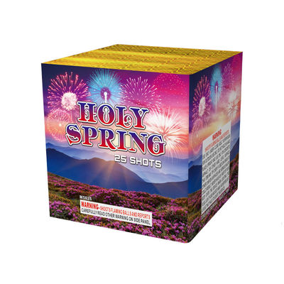 Fabriek Nieuw Cake Vuurwerk Pyrotechniek 25 Shots Cake Vuurwerk Chinees Djibouti Groothandel Vuurwerk 2025