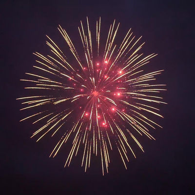 Mandarijn vuurwerk 2025 Chinese fabriek Liuyang Pyrotechnics Display Shell Fireworks 8 Inch 1.3G Professional Shell Fireworks