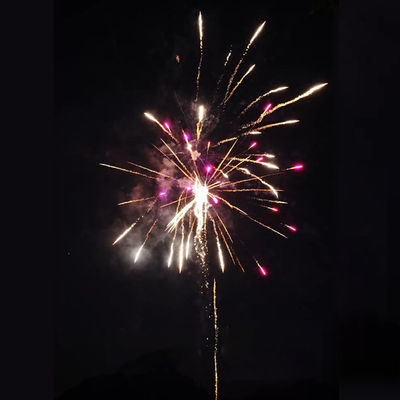 Chinese fabriek goedkope vuurwerk Liuyang 100 schoten 1.4G consument cake vuurwerk import vuurwerk uit China