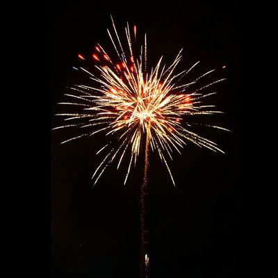 Liuyang Pyrotechnics 100 Shots Consumer Wholesale Cake Fireworks 2025 Nieuw vuurwerk in Amazing Effect Fireworks Cake