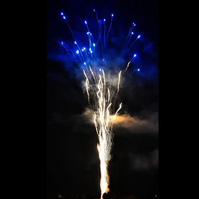 Chinese fabriek Groothandel op maat Blauw vuurwerk Pyrotechniek 100 schoten 1.4G Consument Huilende wolf Cake Vuurwerk voor feest