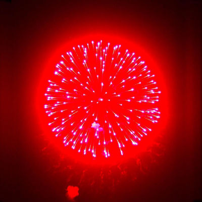 Chinese Fabriek Vuurwerk Leverancier 1.3G Professioneel Vuurwerk Voor Nieuwjaarsviering 6 Inch Display Schelpen Vuurwerk