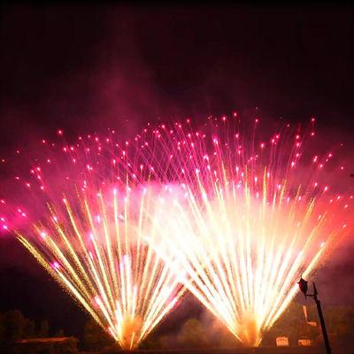 Liuyang Mandarijn Grote Pyrotechniek 0,8 inch 300 Shots Gouden Willow Paarse Perlen 1,3 g Un0335 Professionele Grote Vuurwerk Taart