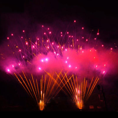 Chinees Mandarijn vuurwerk buitenshuis 1.3g Pyrotechniek 0.8'' 300 Shots Grootste vuurwerk professionele display vuurwerk cake