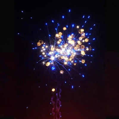 Chinese fabriek 1.4g aangepaste vuurwerk Liuyang 1.2'' Inch schattig Chrysanthemum nieuwe consument cake vuurwerk bruiloft pyrotechniek