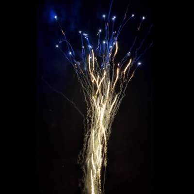 China Groothandel Pyrotechniek Nieuwjaar Wolf Howl en Blauwe Dahlia Cake Vuurwerk Kerstvuurwerk Taart