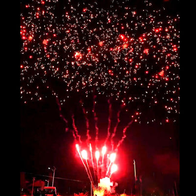 Liuyang Vuurwerkbenodigdheden Mandarijn Nieuw Hot Vuurwerk 56 Schoten Saluut Buitencake Batterijen Rode Pruim Vuurwerk Pyrotechniek