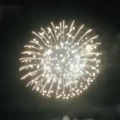 1.3G Professional 8 Inch Display Shells New Year 1.3g Fireworks 2