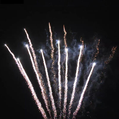 Liuyang Factory 1.3g Customized Professional Pyrotechnics Fireworks 0.8 Inch 49 Shots Z Shape Display Fireworks Cake Outdoor