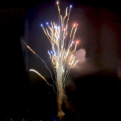 Chinese Fabriek Custom 100 Schoten Wolf Huilt Cake Vuurwerk Groothandel Pyrotechniek Nieuw Vuurwerk Voor Nieuwjaar Kerst Bruiloft Viering