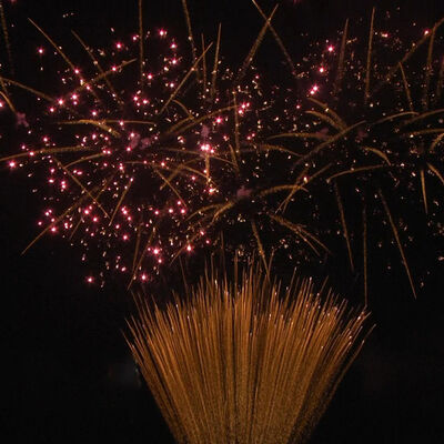 1.2 Inch 100 Shots Cake Fireworks 1.3G Professionele UN0335 Gecertificeerde Pyrotechniek voor outdoor feesten