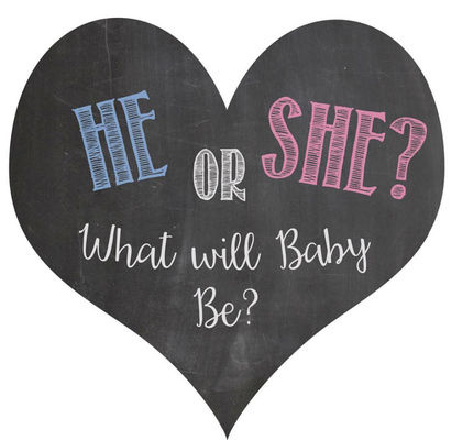 Gender Reveal Party Pink Blue Color Blower Holi Powder Confetti Cannon