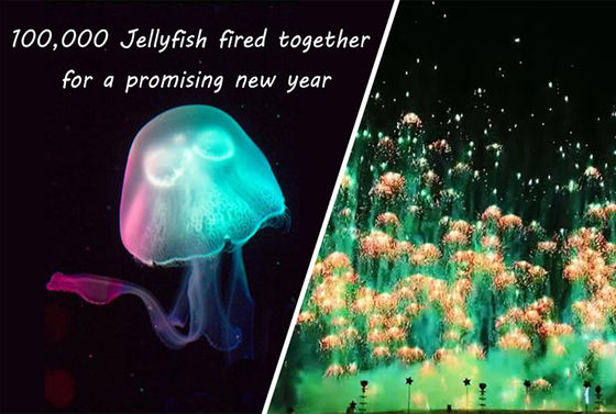 Het Vuurwerk Pyrotechnic Skyshots van nieuwjaartoy firework jellyfish consumer novelty