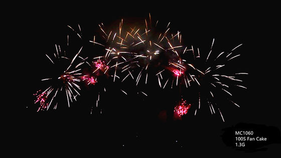 Professioneel de Cakevuurwerk van de Pyrotechniekbegroeting 100 Schoten
