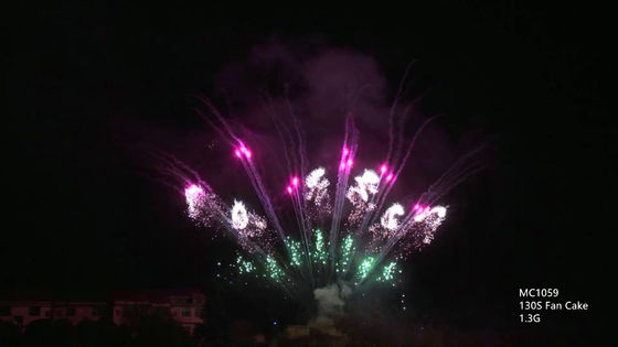 130 Verklaard Vuurwerk AFSL van de Schoten Professioneel Pyrotechniek