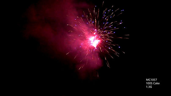 OEM 100 Vuurwerk van de Schoten het Professionele Pyrotechniek
