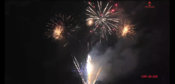 Liuyang 235 Schoten Pyro Vuurwerk van de Begroetingscake Van de consument