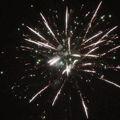 Liuyang 24 Geschoten Vuurwerk van de Pyrotechniekcake voor Nieuwjarenviering
