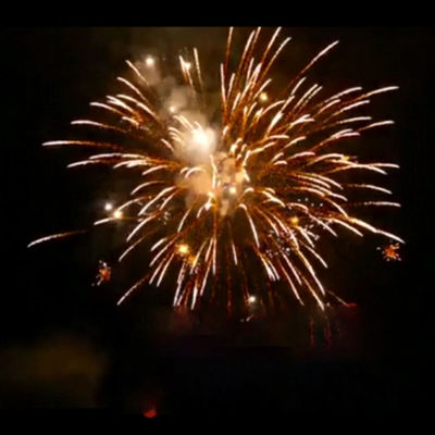 Vuurwerk 16 van de douane Pyrotechnic Chinees Openlucht Klassiek Cake Schot